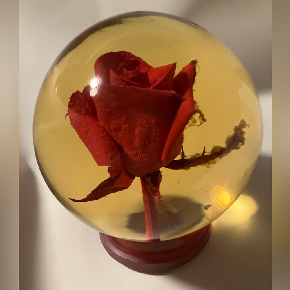 🌹 Real Rose in Encased in a Globe 🌹 Rose Dome 🥀